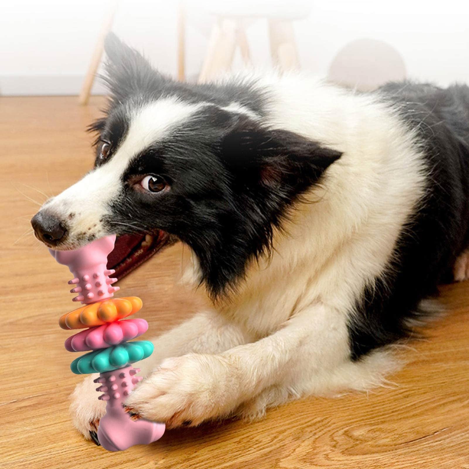 Petnivo Dog Chew Toy